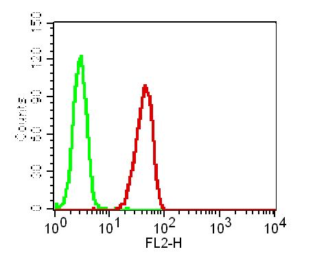 Monoclonal antibody to GPR44 (Clone: ABM2H76)