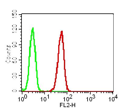 Monoclonal antibody to GPR44 (Clone: ABM2C77)