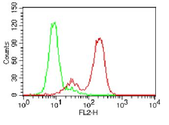 Monoclonal antibody to DR4 (Clone: ABM1B11 ) FITC Conjugated