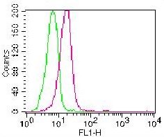 Monoclonal Antibody to Caspase-3 (Pro and Active) (Clone: ABM1C12) FITC Conjugated