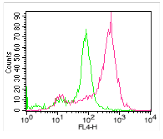 anti-ACE2, mAb (Clone: AC18F) (ATTO 647N)