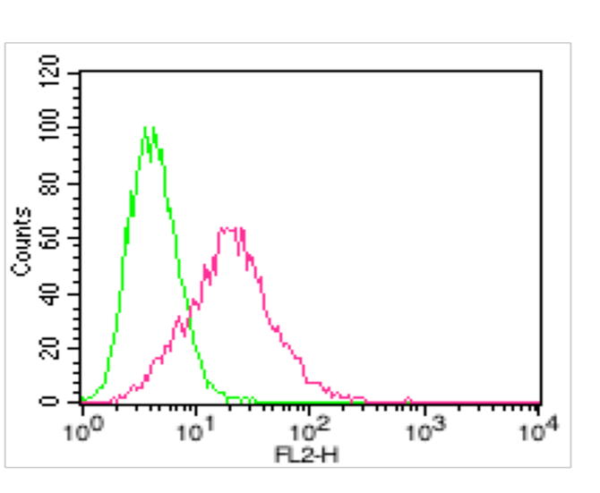 anti-ACE2, mAb (Clone: AC18F) (Biotin)