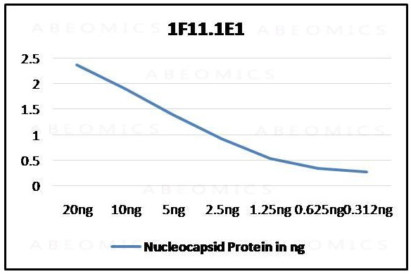 Monoclonal Antibody to SARS-CoV-2 Nucleocapsid  (Clone: ABM1F11.1E1)