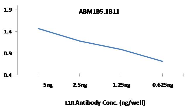 Anti MonkeyPox L1R Antibody (Clone: ABM1B5.1B11)