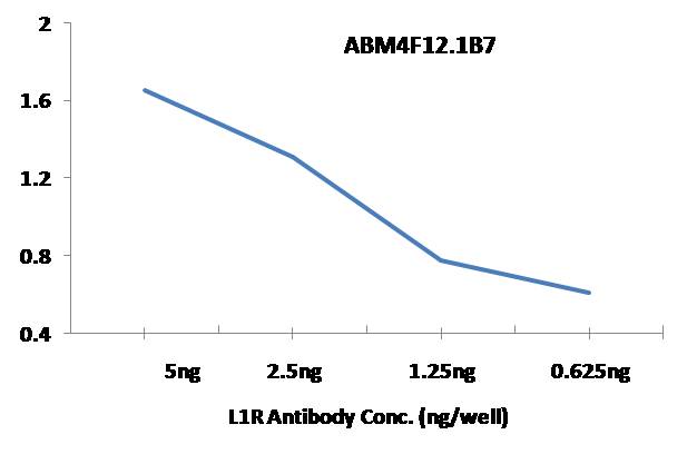 Anti Monkeypox L1R Antibody (Clone: ABM4F12.1B7)