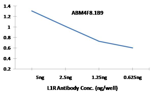 Anti Monkeypox L1R Antibody (Clone: ABM4F8.1B9)