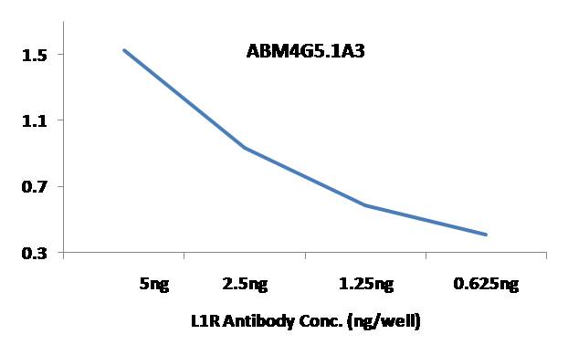 Anti MonkeyPox L1R Antibody (Clone: ABM4G5.1A3)