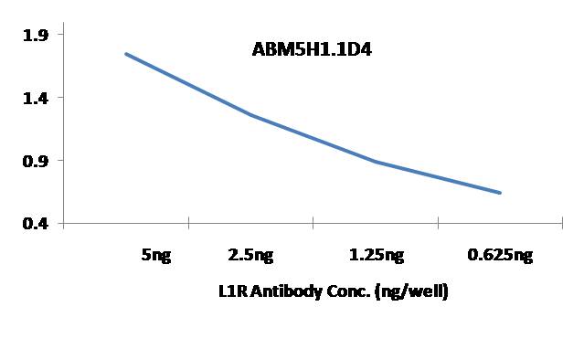 Anti Monkeypox L1R Antibody (Clone: ABM5H1.1D4)