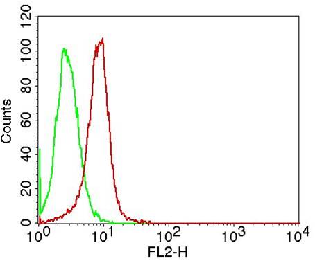 Monoclonal Antibody to D4-GDI  (Clone: ABM11F9)