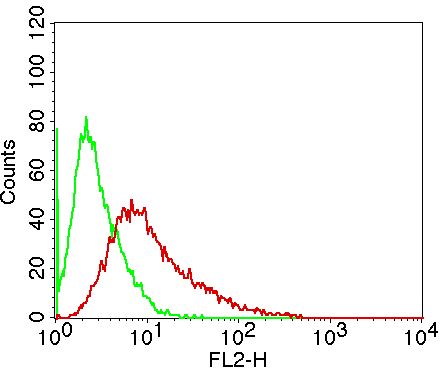 Monoclonal Antibody to Caspase-14  (Clone: ABM1B24)