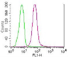 Monoclonal Antibody to Caspase-8 (Clone: ABM14C1) FITC Conjugated