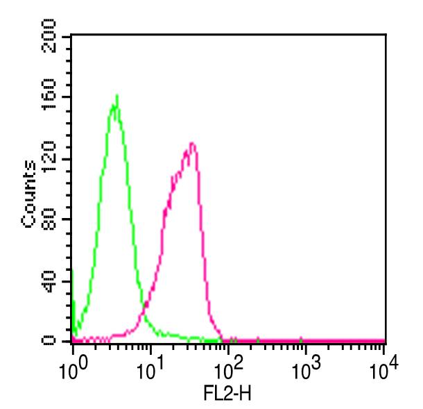 Monoclonal Antibody to Human NOXA (Clone: ABM16G6)