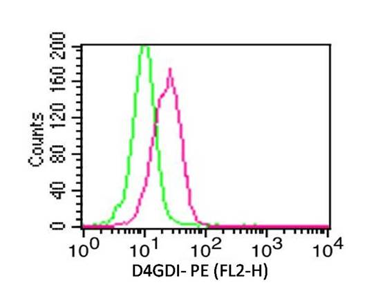 Monoclonal Antibody to D4GDI (Clone: ABM1D80 )