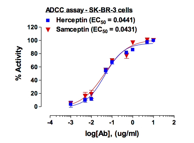 Recombinant anti- human ErbB2/HER2 Antibody (Trastuzumab)