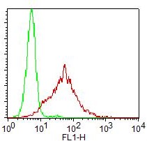 Monoclonal antibody to MyD88 (Clone: ABM2H20) FITC Conjugated