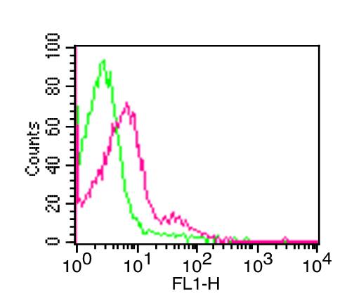 Monoclonal antibody to Mouse TLR4 CD284 (Clone: MTS510) FITC Conjugated