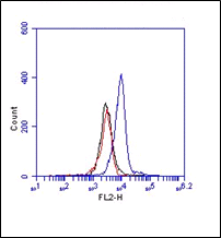 Monoclonal Antibody to mouse MD-1 (Clone : MD113)(Discontinued)