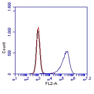 Monoclonal Antibody to Mouse CD14 (Clone :  Sa14-2)(Discontinued)