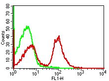 Monoclonal antibody to Mouse CD19 (Clone: 1D3 )