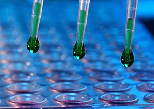 Monoclonal Antibody to Human IL-1beta (Clone: ABM26B1)