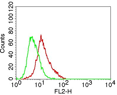 Monoclonal Antibody to CADM1 (Clone: ABM2A73)