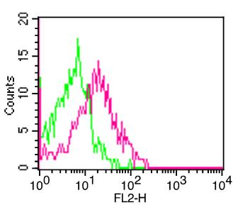 Monoclonal antibody to CD161 (clone: ABM27F5)