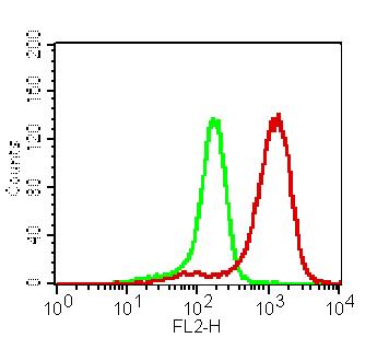 Monoclonal Antibody to CLEC1 (Clone: ABM2H82)