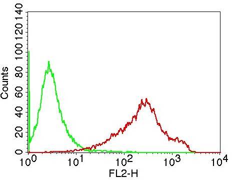 Monoclonal Antibody to Human CD19 (Clone: CB19)