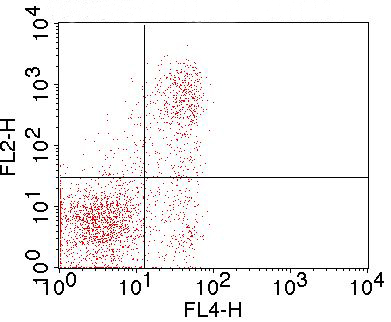 Monoclonal Antibody to mFolate Receptor 4 (Clone: TH6)