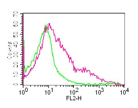 Monoclonal Antibody to Mouse Folate Receptor 4 (Clone: 12A5)