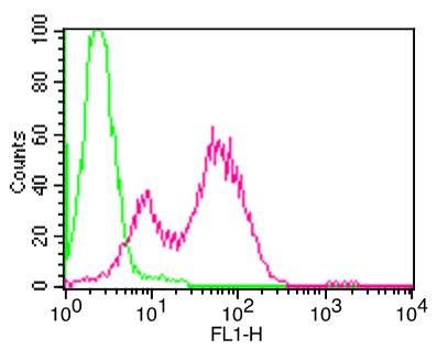 Monoclonal Antibody to Mouse CD25 (Clone: PC61)