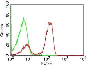 Monoclonal Antibody to CD3 (Clone: OKT3) FITC Conjugated