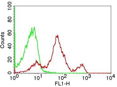 Monoclonal Antibody to CD4 (Clone: RPA-T4) FITC Conjugated