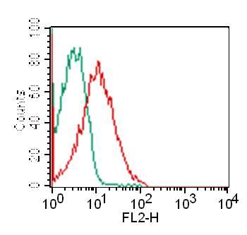 Monoclonal Antibody to CD8 (Clone: RPAT8)