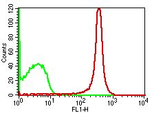 Monoclonal antibody to Mouse CD4 (Clone: GK1.5) FITC Conjugated