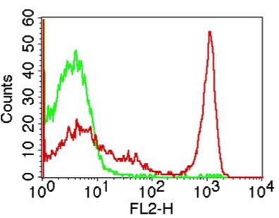 Monoclonal antibody to Mouse CD4 (Clone: GK1.5 )