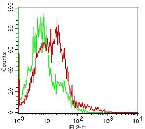 Monoclonal Antibody to CD69 (Clone: ABM39A4) BSA Free