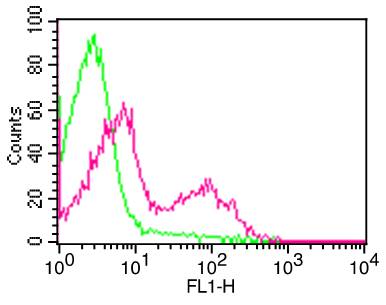 Monoclonal Antibody to Mouse CD3 (Clone:  145-2C11)  FITC conjugated