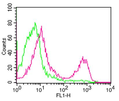 Monoclonal Antibody to Mouse CD3  (Clone: 145-2C11)