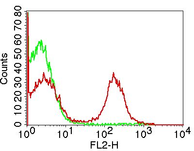 Monoclonal Antibody to Mouse CD16/32 (Clone: 2.4G2)