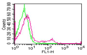 Monoclonal Antibody to Human CD19  (Clone: SJ25C1)  FITC conjugated