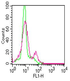 Monoclonal Antibody to Human CD19 (Clone: SJ25C1)