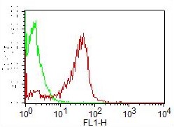 Monoclonal Antibody to Human CD7  (Clone: BF12 ) FITC Conjugated