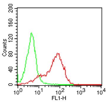 Monoclonal Antibody to Human CD7  (Clone: BF12 )