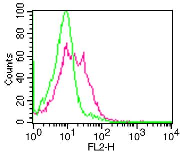 Monoclonal Antibody to CD10  (Clone:  CB-CALLA)