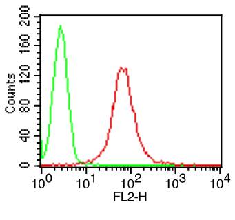 Monoclonal Antibody to Human CD1a  (Clone: CBT6)