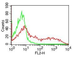 Monoclonal Antibody to Human MHCII/HLA DQ (Clone: SPVL3)