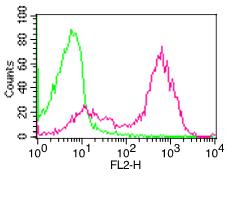 Monoclonal Antibody to Human CD95  (Clone: BR18 )