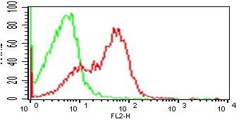 Monoclonal Antibody to Human CD33 (Clone: wm53)