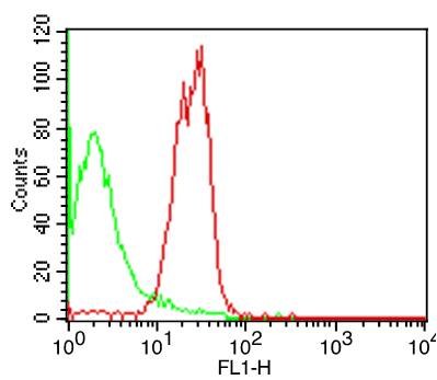 Monoclonal Antibody to Human CD98 (Clone: LN-1)